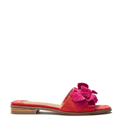 Laleh Red Pink Suede Sandals